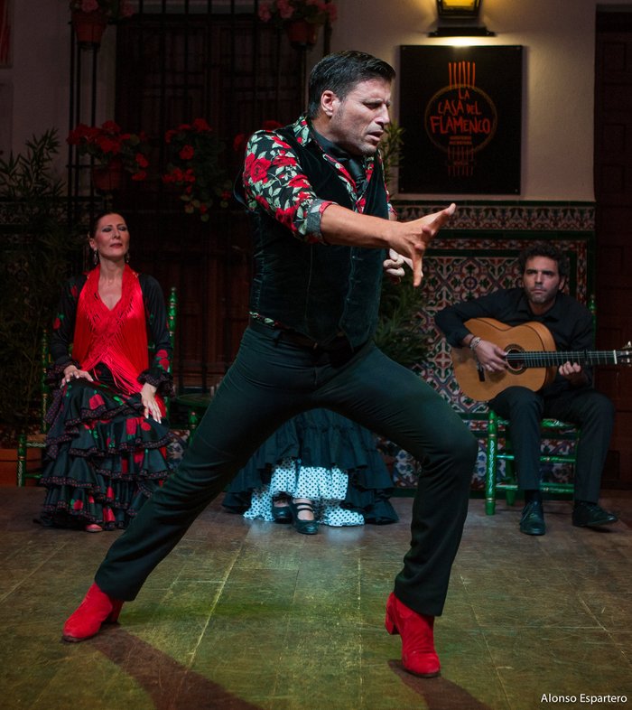 Imagen 9 de La Casa del Flamenco