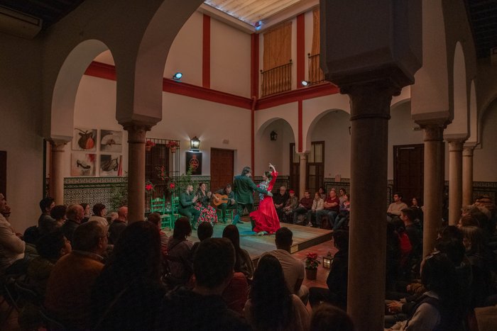 Imagen 8 de La Casa del Flamenco