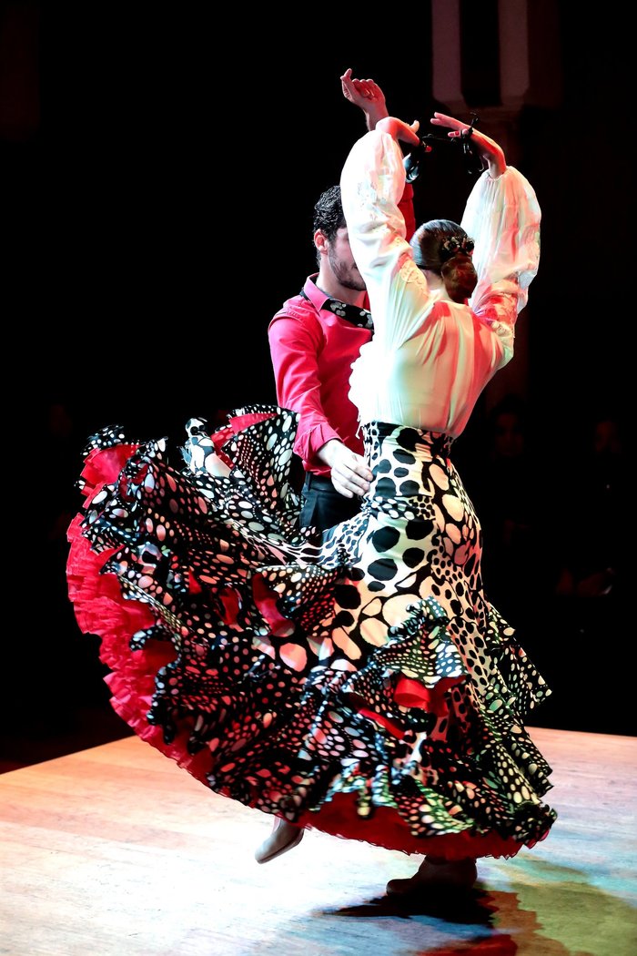 Imagen 7 de La Casa del Flamenco