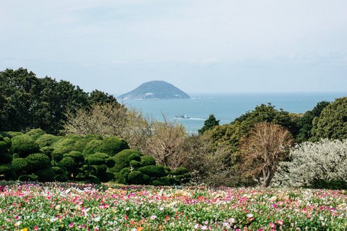 Fukuoka Prefecture review images