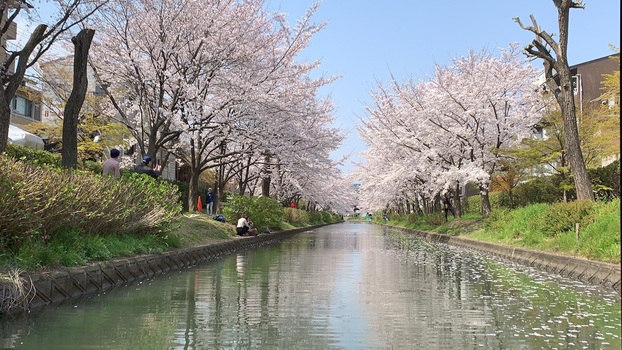 Fushimi Jikkoku Bune (Kyoto) - All You Need to Know BEFORE You Go