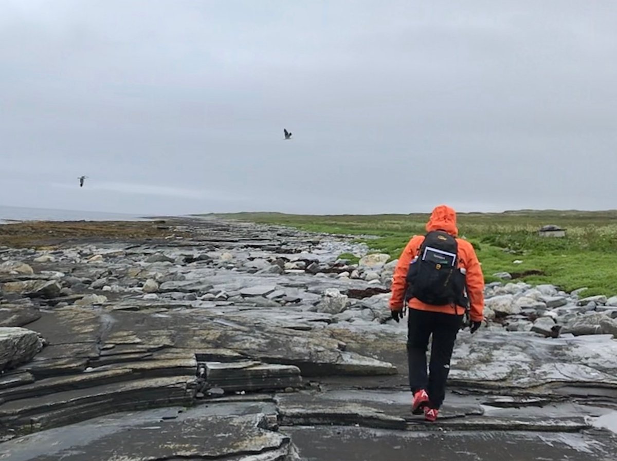 TAMSØYA (Børselv, Campingplass Anmeldelser Tripadvisor