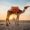 Horus Egypt tours