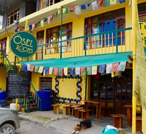 Osel Rooms in Kaza, image may contain: Hotel, Building, Dog, Blackboard