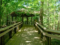 are dogs allowed at northlake nature center