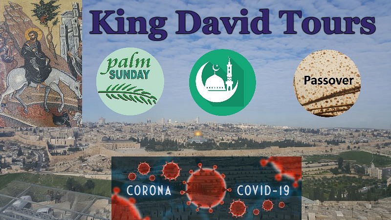 king david tours