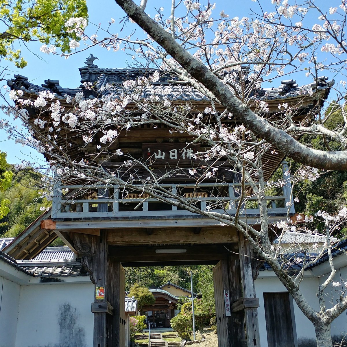 Daikoji Temple Miyazaki Tripadvisor