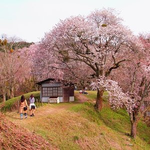 21年 奈良市で絶対外さないおすすめ観光スポットトップ10 定番から穴場まで トリップアドバイザー