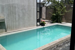 Wisatawan