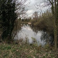 The large pond