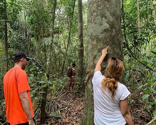 tours to manaus