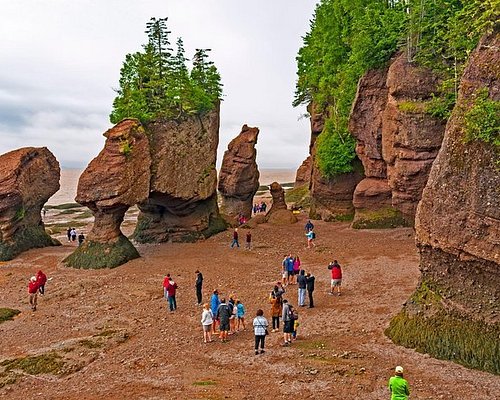 new brunswick tourism packages