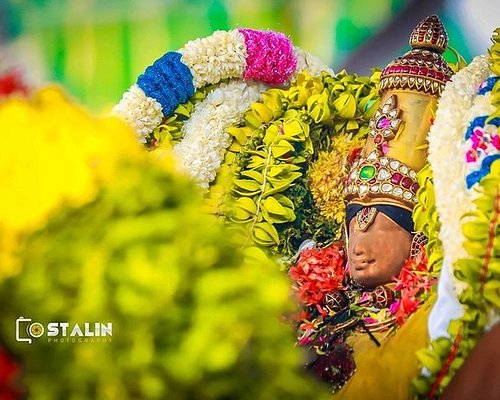 madurai tour and travels