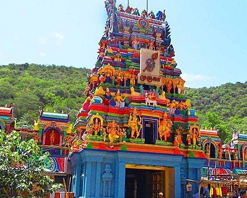 madurai tour and travels