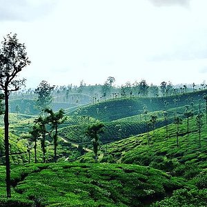 chennai to coonoor places to visit
