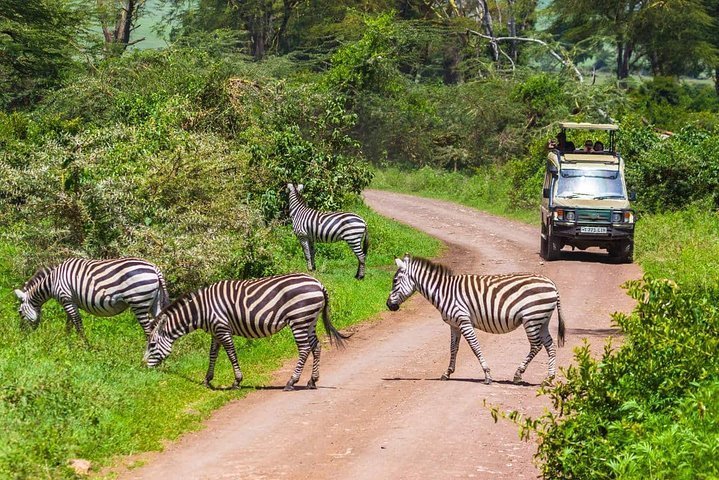 Tarangire National Park | Moshi, Tanzania