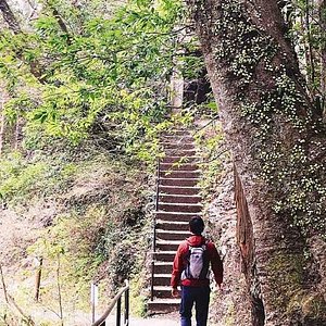 21年 青梅市で絶対外さないおすすめ観光スポットトップ10 定番から穴場まで トリップアドバイザー 21年 青梅市で絶対外さないおすすめ観光スポットトップ10 定番から穴場まで トリップアドバイザー