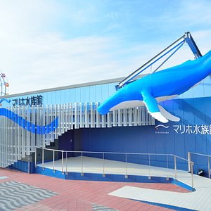 中国地方の水族館 中国地方の 10 件の水族館をチェックする トリップアドバイザー