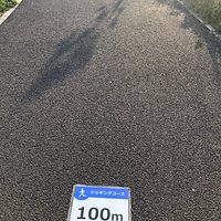 広く開放的な公園です。