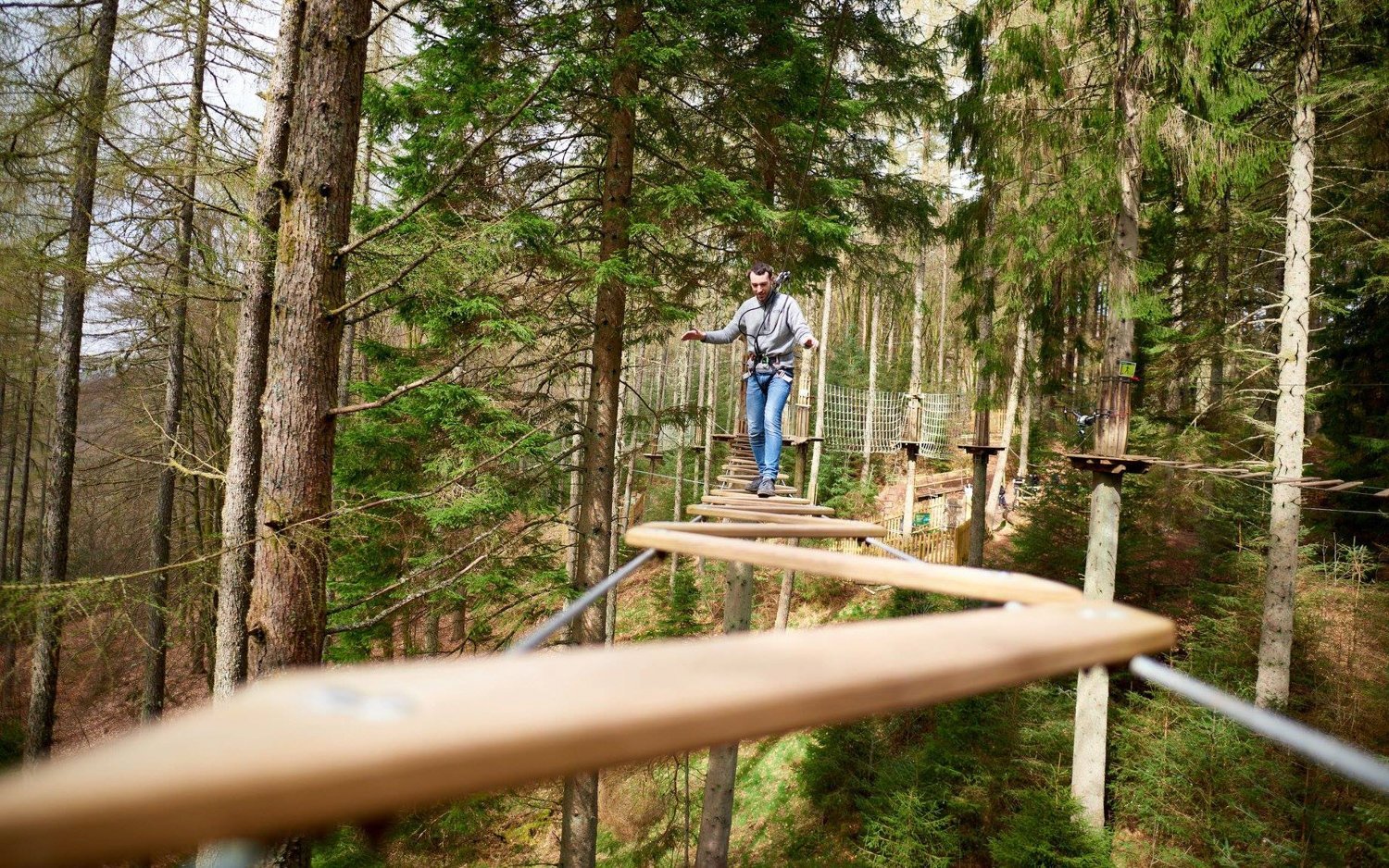 Go Ape Zipline & Adventure Park - All You Need to Know BEFORE You Go (2024)