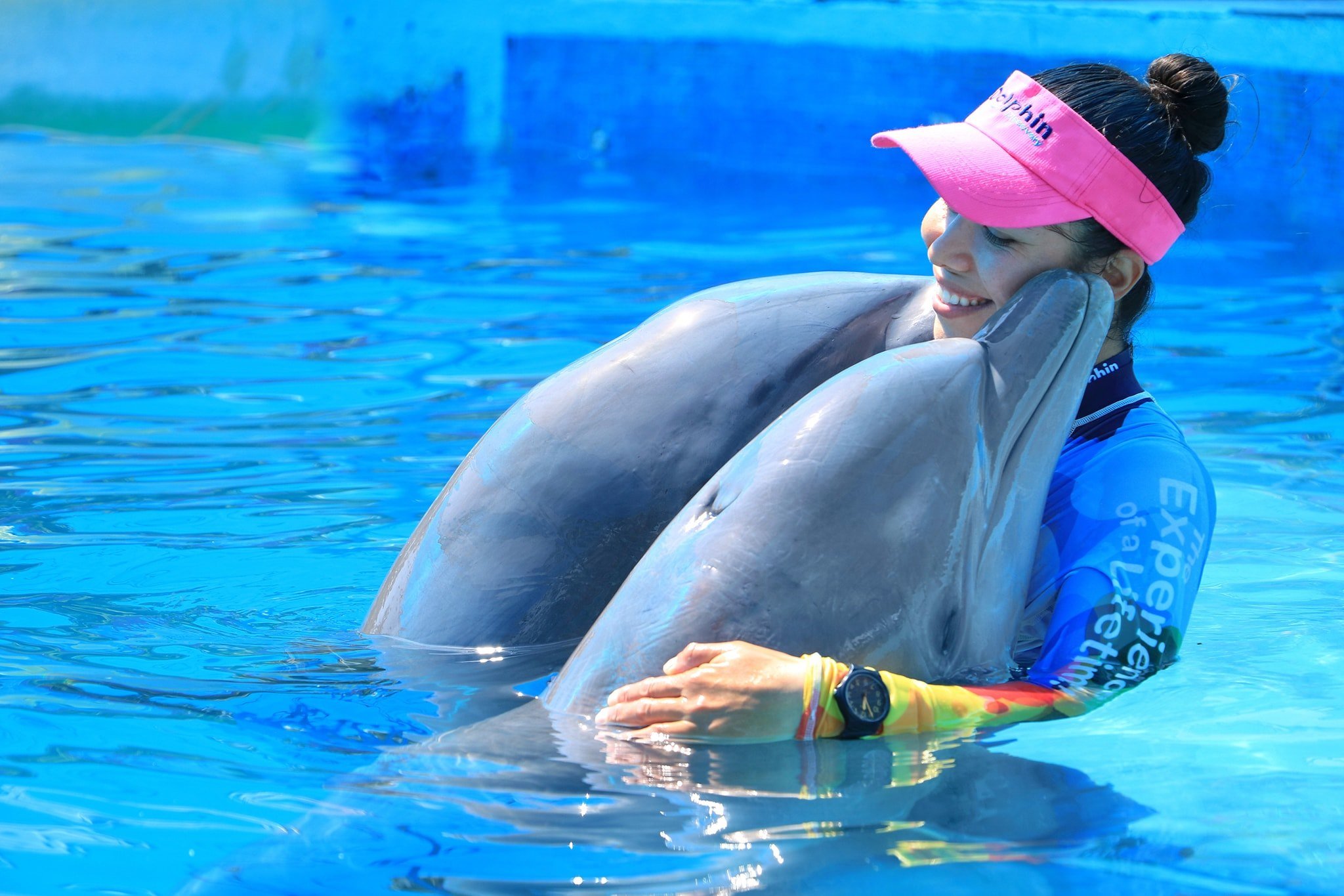 Dolphin Discovery Puerto Vallarta - All You Need to Know BEFORE