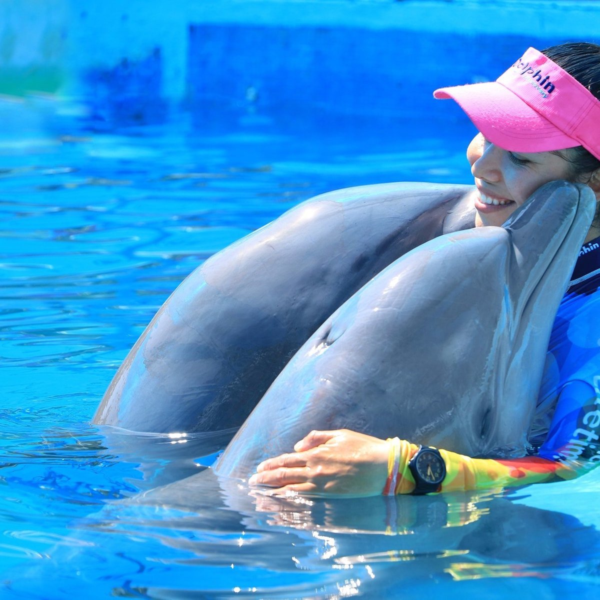 Dolphin Discovery Puerto Vallarta, Нуэво-Вальярта: лучшие советы перед  посещением - Tripadvisor