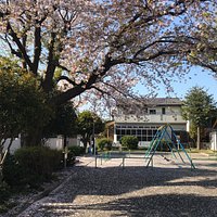 桜の舞い散る季節にお勧めです。