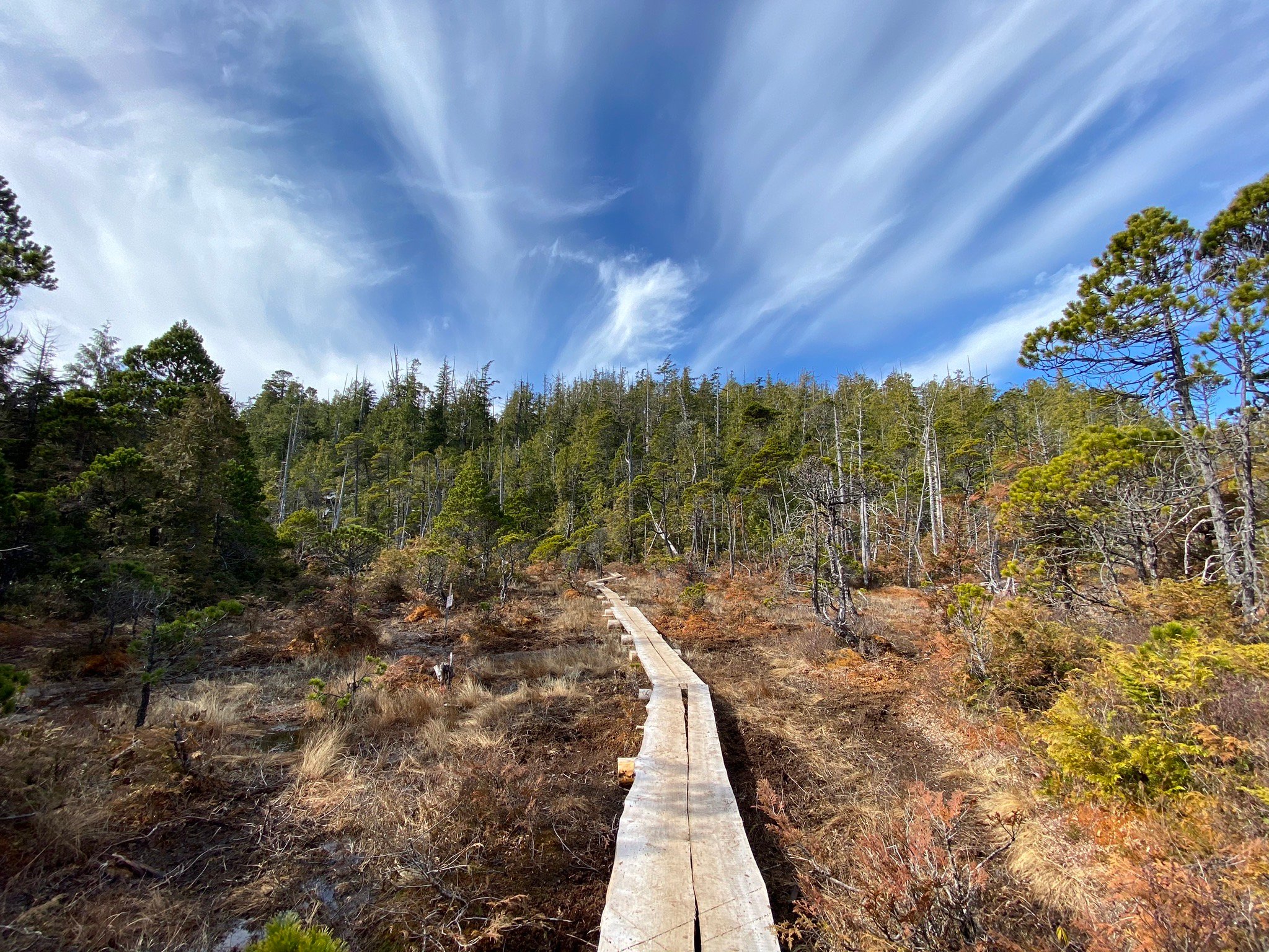 PACIFIC RIM NATIONAL PARK (Tofino) - All You Need To Know BEFORE You Go ...