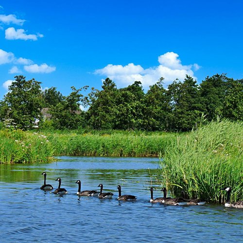 Weerribben-Wieden Boardwalk