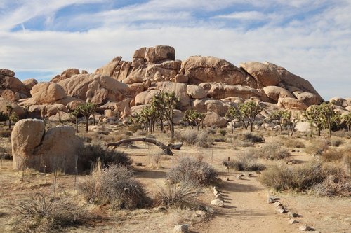 Joshua Tree National Park Robby G C review images