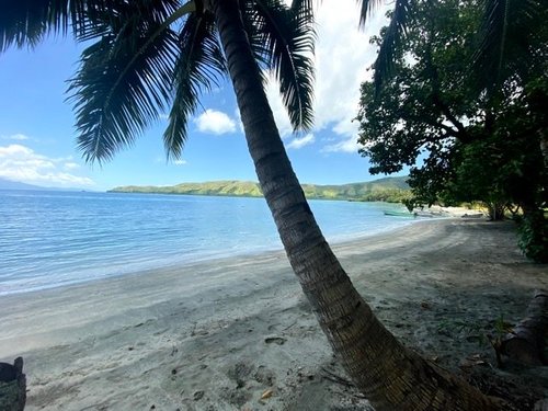 Taveuni Island review images
