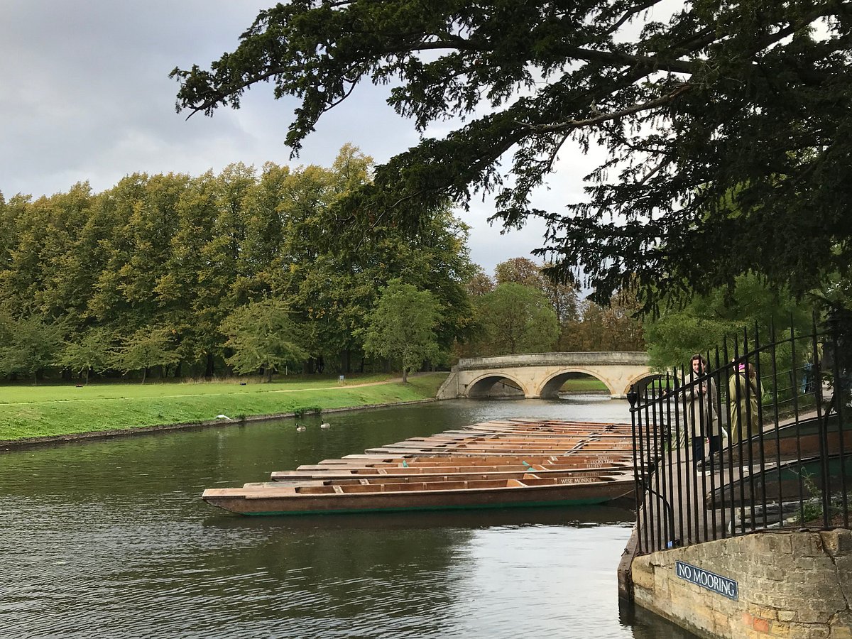 TRINITY PUNTS (Cambridge) - All You Need to Know BEFORE You Go