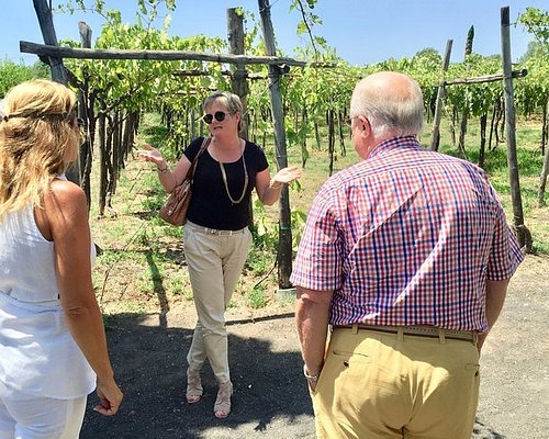 naples florida wine tour