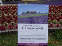 21年 日の出ラベンダー園 行く前に 見どころをチェック トリップアドバイザー 21年 日の出ラベンダー園 行く前に 見どころをチェック トリップアドバイザー