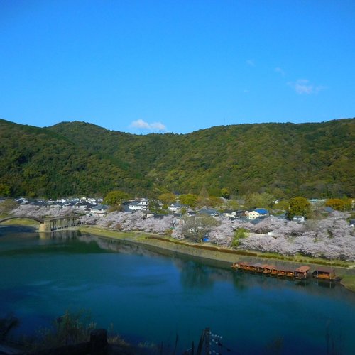 2021 年日本岩国市 的旅游景点,旅游指南,行程 