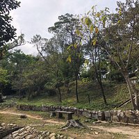 Coloane Arboretum in Coloane walking area and benches