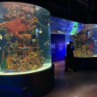 Electric City Aquarium & Reptile Den - All You Need to Know BEFORE You ...