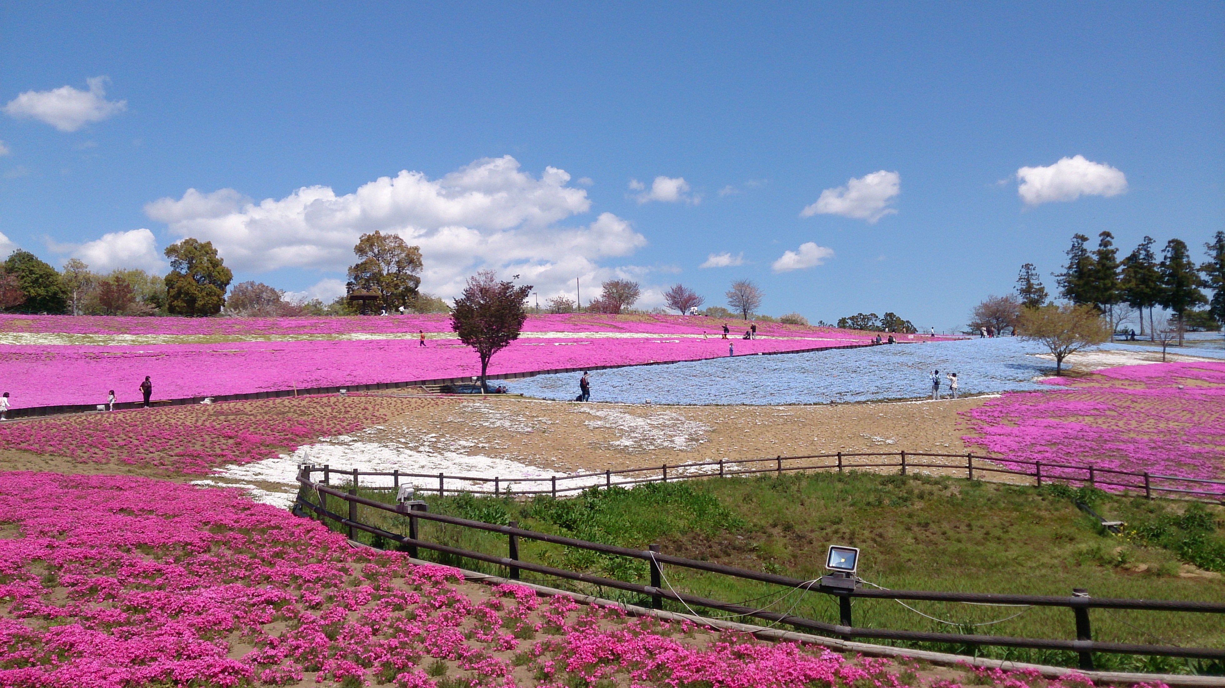 Ota City Hokubu Undo Park (2025) - All You Need to Know