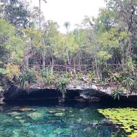 Cenote Nicte-ha (Tulum) - All You Need to Know BEFORE You Go