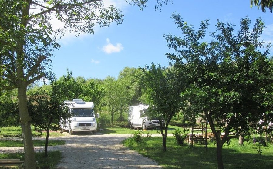 Hungarian Country Camping Koppany Pines Campsite Prices Campground Reviews Koppanyszanto Hungary Tripadvisor