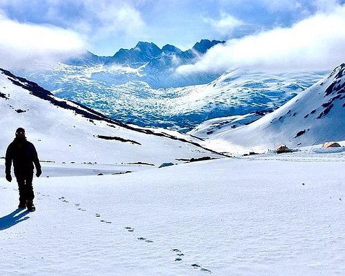 excursions in skagway