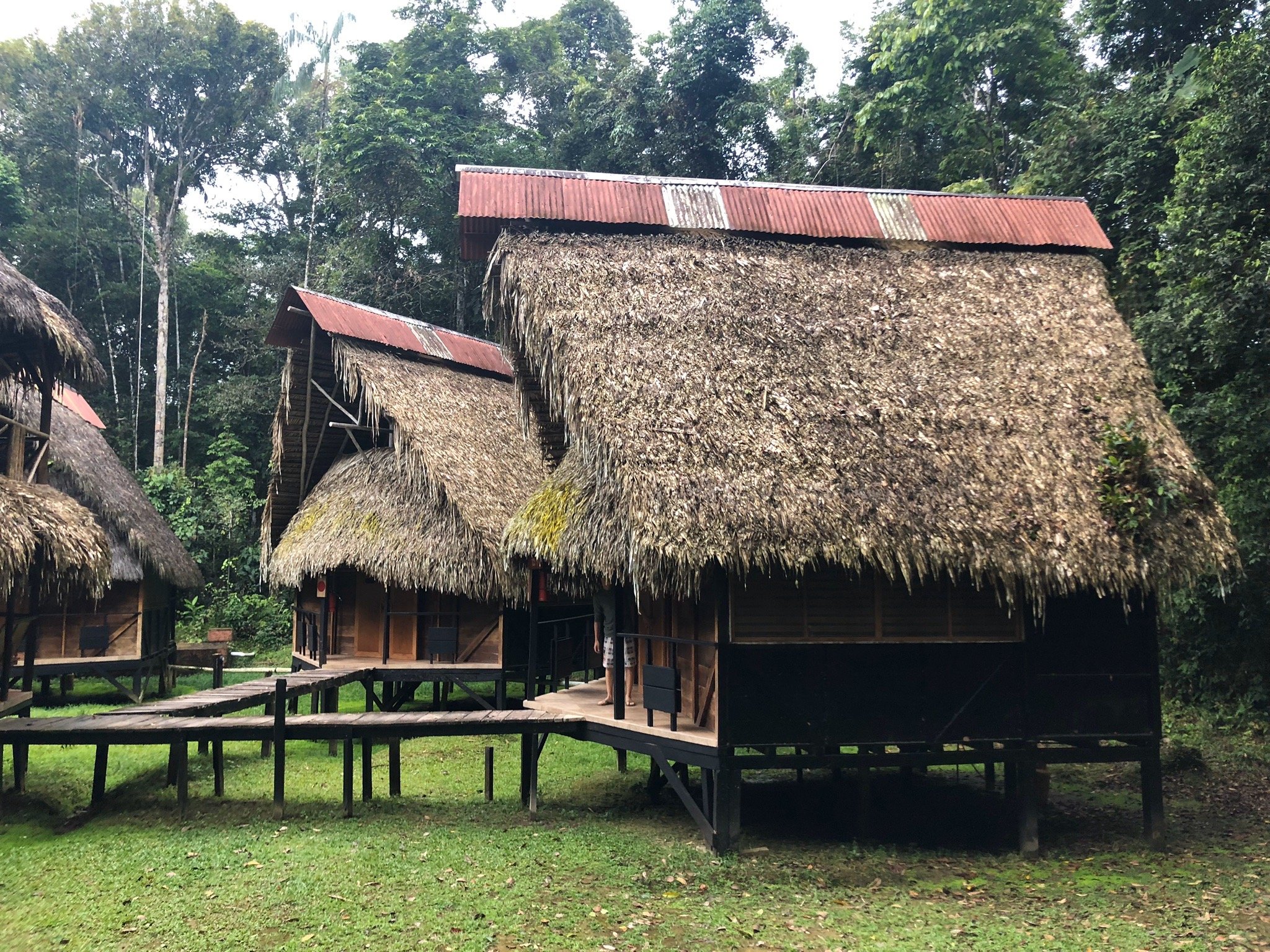 JAMU LODGE - Updated 2024 Reviews (Cuyabeno Wildlife Reserve, Ecuador)