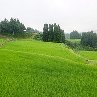 山田宿坊の棚田:朝靄の棚田