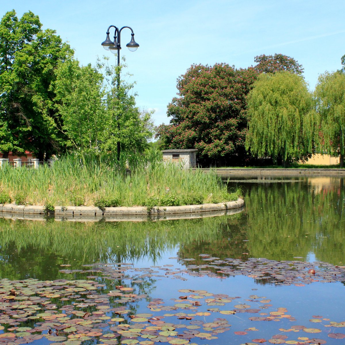 Vorstadtteich (Grafenhainichen, Germany) Address Tripadvisor