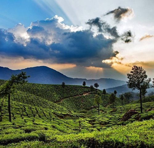 THE 15 BEST Things to Do in Thekkady - 2022 (with Photos) - Tripadvisor