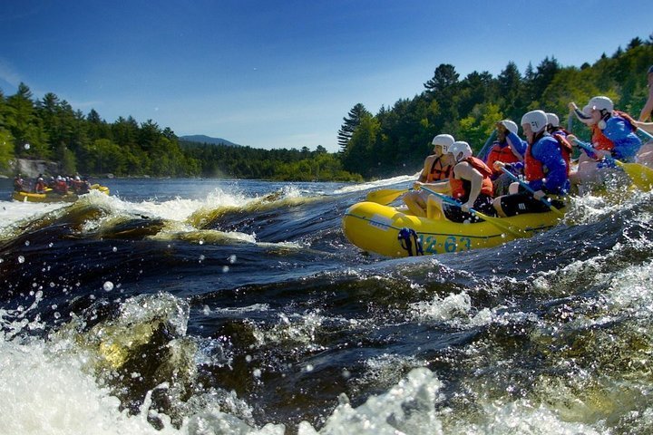 2024 WildWater Rafting In Carpathians, DayTrip From Bucharest