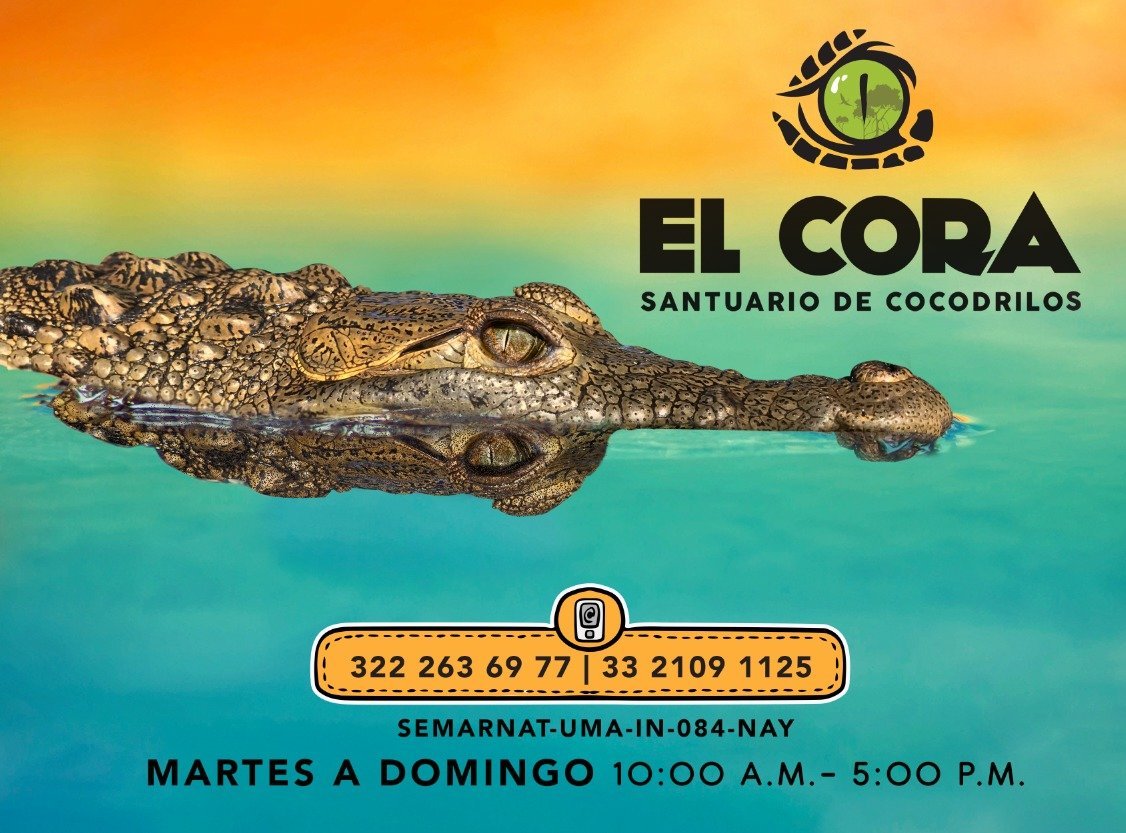 Santuario de Cocodrilos El Cora (Bucerías) - 2023 Lo que se debe saber  antes de viajar - Tripadvisor