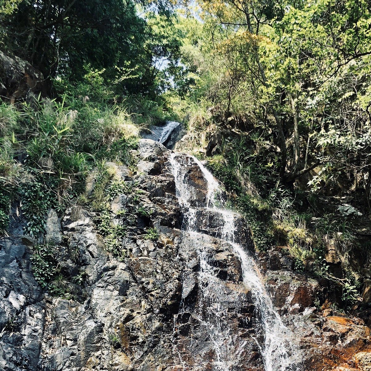 Tai Mo Shan Country Park, Гонконг: лучшие советы перед посещением -  Tripadvisor