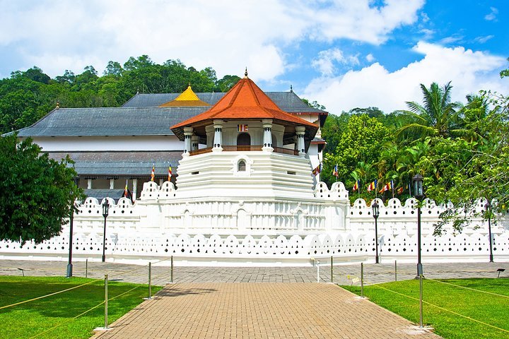 (Colombo) Excursion Privée D'une Journée à Kandy Et Au Spice Garden Au ...