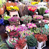 BLOEMENMARKT (Amsterdam) - What to Know BEFORE You Go